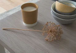 Adhésif décoratif d-c-fix® bois chêne Santana chaux 2m x 0.675m