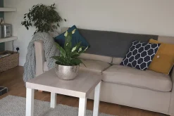 Adhésif décoratif d-c-fix® bois chêne Santana chaux 2m x 0.675m