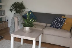 Adhésif décoratif d-c-fix® bois chêne Santana chaux 2.10m x 0.90m