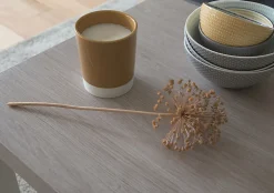 Adhésif décoratif d-c-fix® bois chêne Santana chaux 2.10m x 0.90m