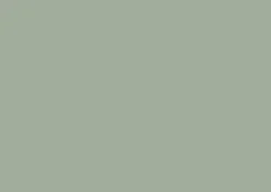 Adhésif décoratif d-c-fix® Uni mat vert sauge 2 m x 45 cm