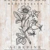 Affiche Aubepine Dada Art l.24 x h.30 cm