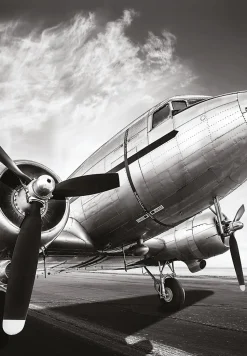 Affiche avion noir et blanc L.50 x H.70cm Dada Art