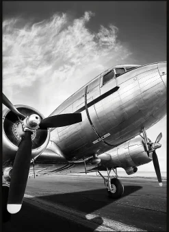 Affiche avion noir et blanc L.50 x H.70cm Dada Art