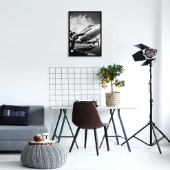 Affiche avion noir et blanc L.50 x H.70cm Dada Art