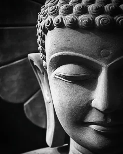 Affiche bouddha Dada Art l.40 x H.50 cm