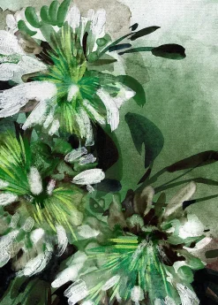 Affiche fleurs de jasmin L.40 x H.50cm Dada Art