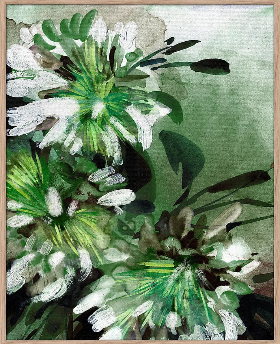 Affiche fleurs de jasmin L.40 x H.50cm Dada Art