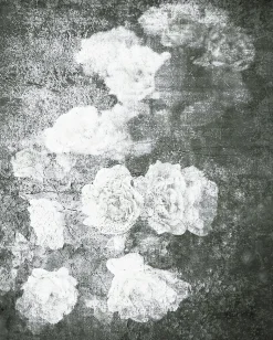 Affiche fleurs noir et blanc 40 x 50 cm