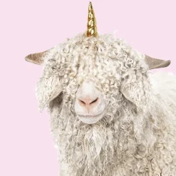 Affiche lama licorne l.24 x l.30 cm Dada Art