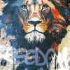 Affiche lion grafiti multicouleurs l.50 x l.70 cm Dada art