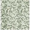 Affiche marché aux fleurs sélection botanique Dada Art l.40 x H.50 cm vert