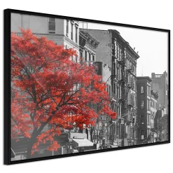 Affiche Murale Encadrée "Autumn Colours II" 30 x 20 cm Noir