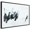 Affiche Murale Encadrée "Banksy Pigeons" 45 x 30 cm Noir