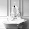 Affiche ours baignoire Dada Art l.40 x H.50 cm