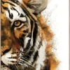 Affiche portrait tigre L.50 x H.70cm Dada Art