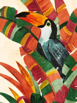 Affiche Toucan toucan, animaux l.60 x H.80 cm multicolore