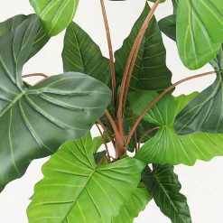 Alocasia artificiel toucher naturel 150cm