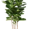 Arbre figuier Lyrata multi Artificiel