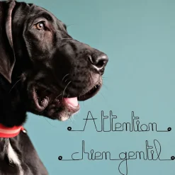 Attention chien gentil - Sculpture fil de fer 40-50 cm - Bijoux de mur