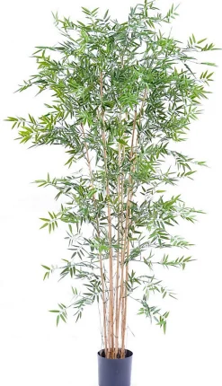 Bambou Japanese artificiel h.210 cm avec pot décoratif