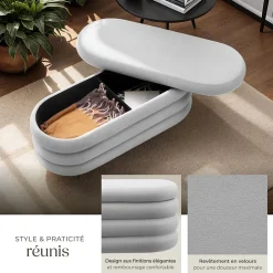 Banc rembourré 2 grands compartiments de rangement en velours ou bouclé