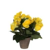 Begonia jaune artficiel ø20 x h.25 cm en pot Stan gris ø9 cm