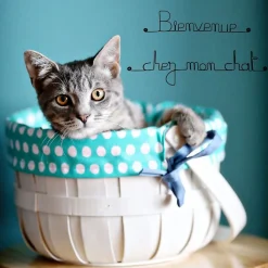Bienvenue chez mon chat - Sculpture fil de fer 50-60 cm - Bijoux de mur