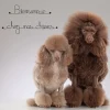 Bienvenue chez nos chiens - Sculpture fil de fer 50-60 cm - Bijoux de mur