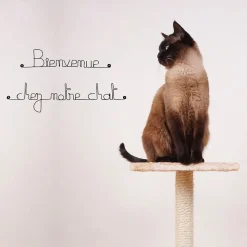 Bienvenue chez notre chat - Sculpture fil de fer 50-60 cm - Bijoux de mur