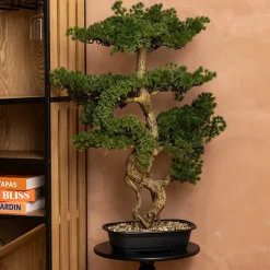 Bonsaï artificiel Polin pot en céramique H86cm - Atmosphera