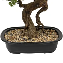 Bonsaï artificiel Polin pot en céramique H86cm - Atmosphera