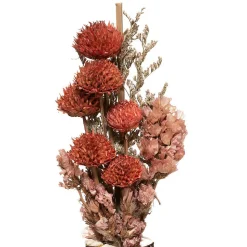 Bouquet de fleurs séchées en vase Wonder - Rose clair- Atmosphera