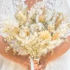 Bouquet de fleurs séchées MIOU