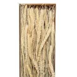Bouquet fleurs séchées - boîte kraft H60 cm - Beige- Atmosphera