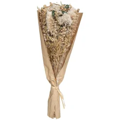 Bouquet fleurs séchées Chardon H48 cm - Blanc- Atmosphera