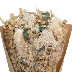 Bouquet fleurs séchées Chardon H48 cm - Blanc- Atmosphera