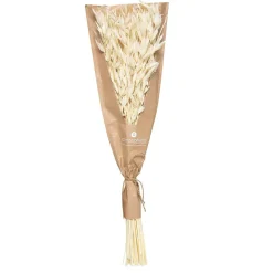 Bouquet fleurs séchées H45 cm - Blanc- Atmosphera