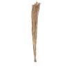 Bouquet tiges de raphia bambou sechées H.100cm JBY creation