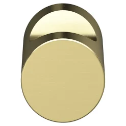 Bouton de meuble arrondi Dizel GoodHome effet or Ø2cm x H.2.5cm