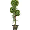 Buis artificiel topiaire artificielle 3 boules H. 115 cm pot style antique inclus