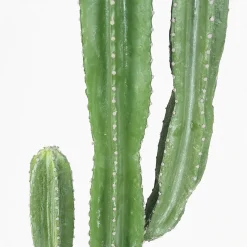 Cactus artificiel grande taille 155cm