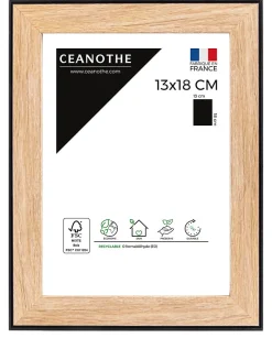 Cadre Newton noir l.13 x H.18 cm Ceanothe