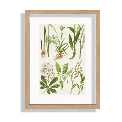 Cadre photo en bois aspect chêne, double verre 21 x 29 Ariane, Duali
