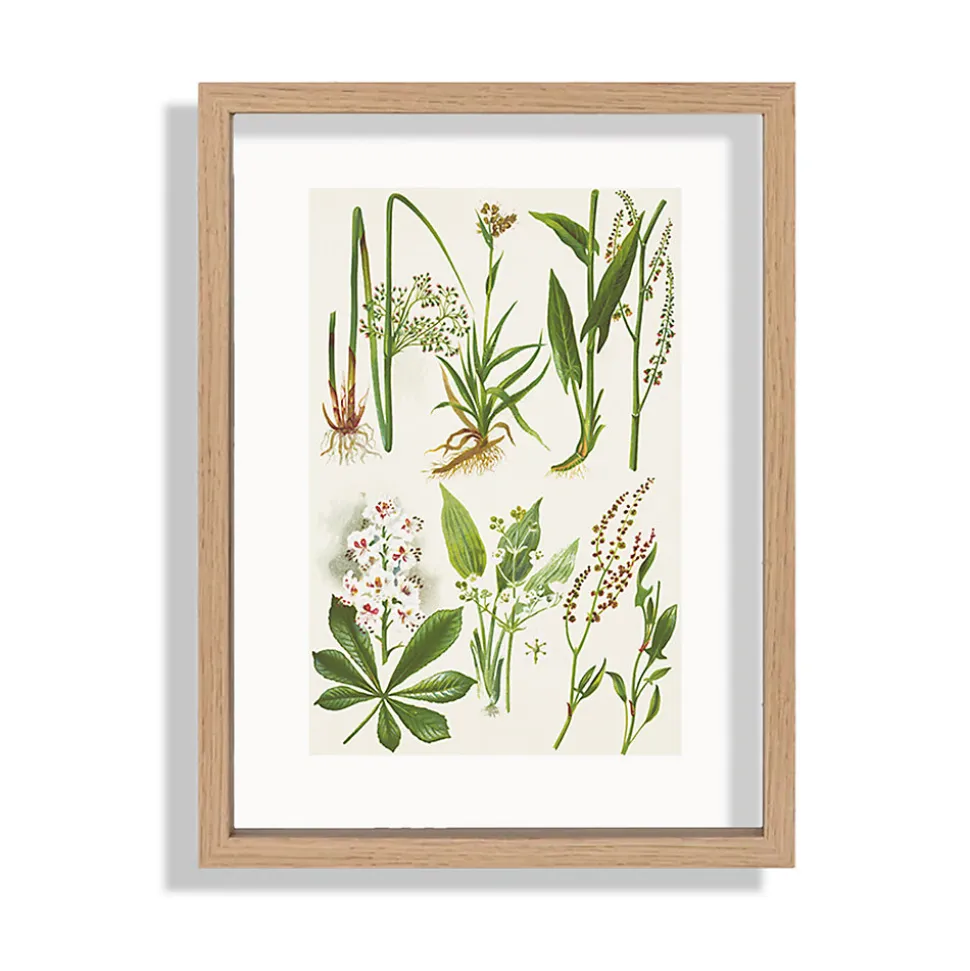 Cadre photo en bois aspect chêne, double verre 21 x 29 Ariane, Duali