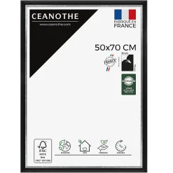 Cadre photo pandore noir argent 50x70 cm Fabriqué en France