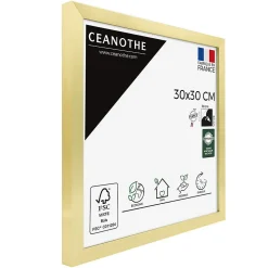 Cadre photo precious doré 30x30 cm Fabriqué en France