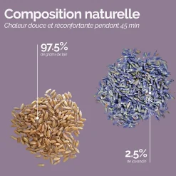 Ceinture lombaire chauffante avec bandes auto-agrippantes réglable taille 36 à 54 - Noir - Vivezen
