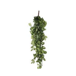 Chute de Fittonia artificiel 80 x 30 x h.15 cm