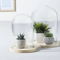 Cloche verre et bois - transparent - H26 cm - Atmosphera